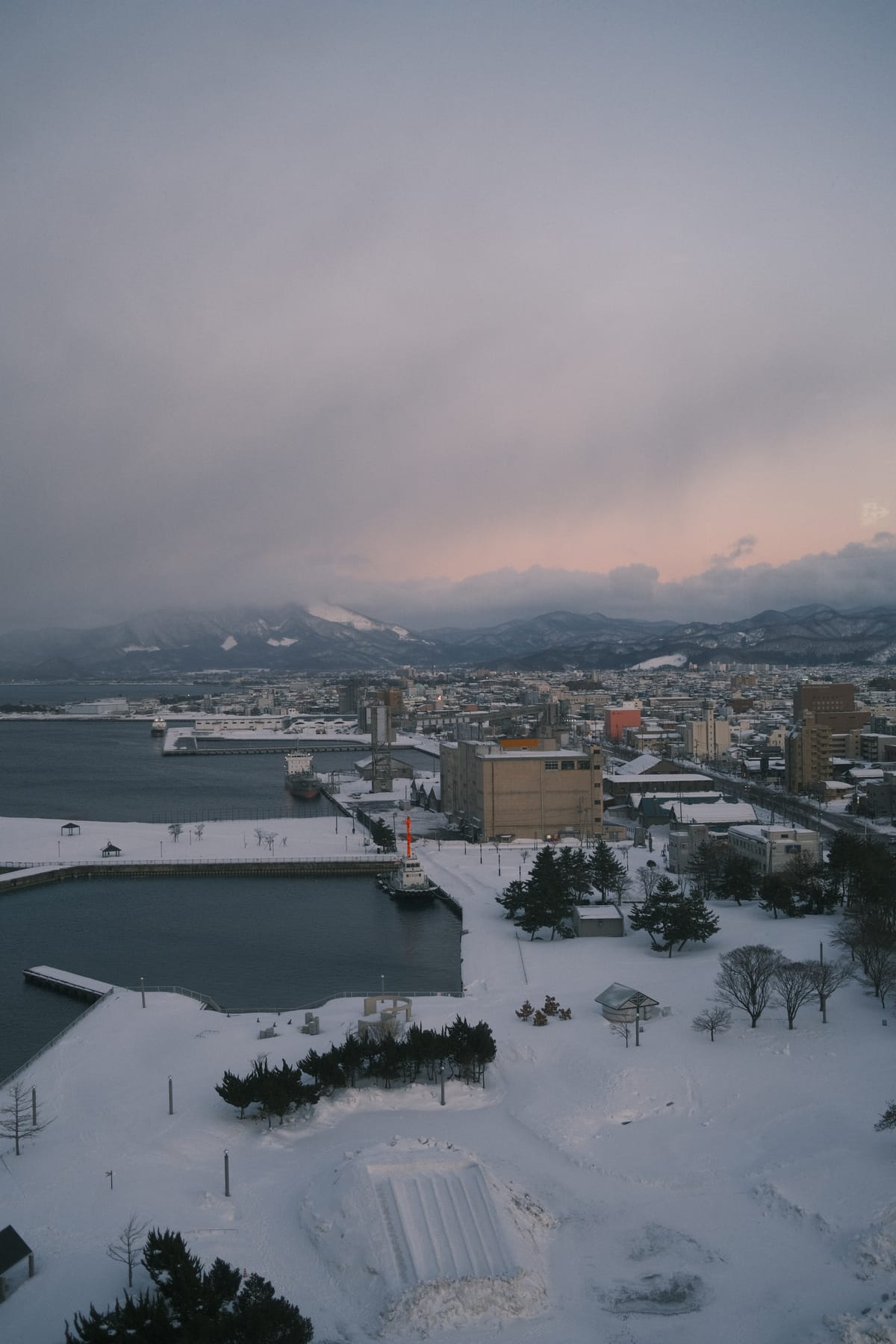 À la découverte d’Aomori : entre festival et pommes dorées